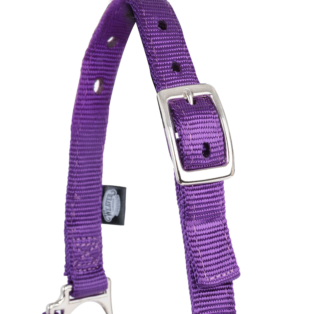 Nylon Adjustable Sheep Halter with Chain Lead