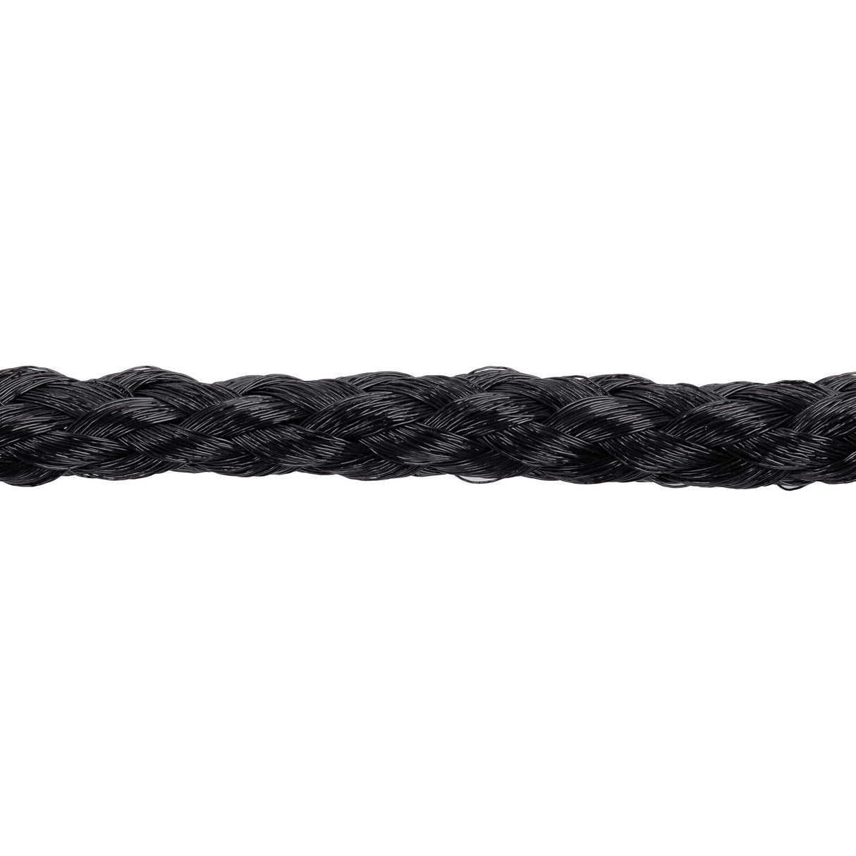 Poly Rope Halter