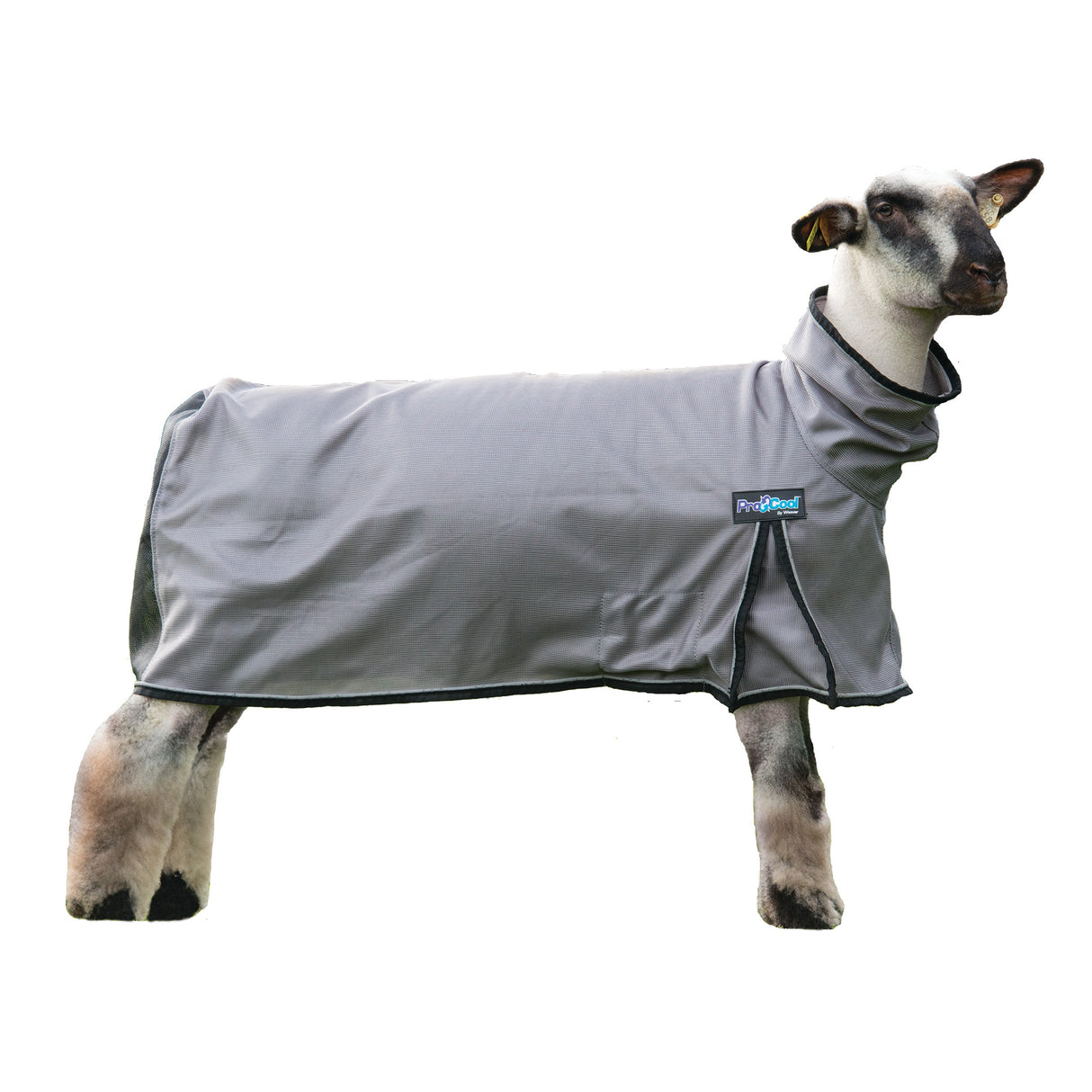 ProCool™ Sheep Blanket with Reflective Piping, Mesh Butt