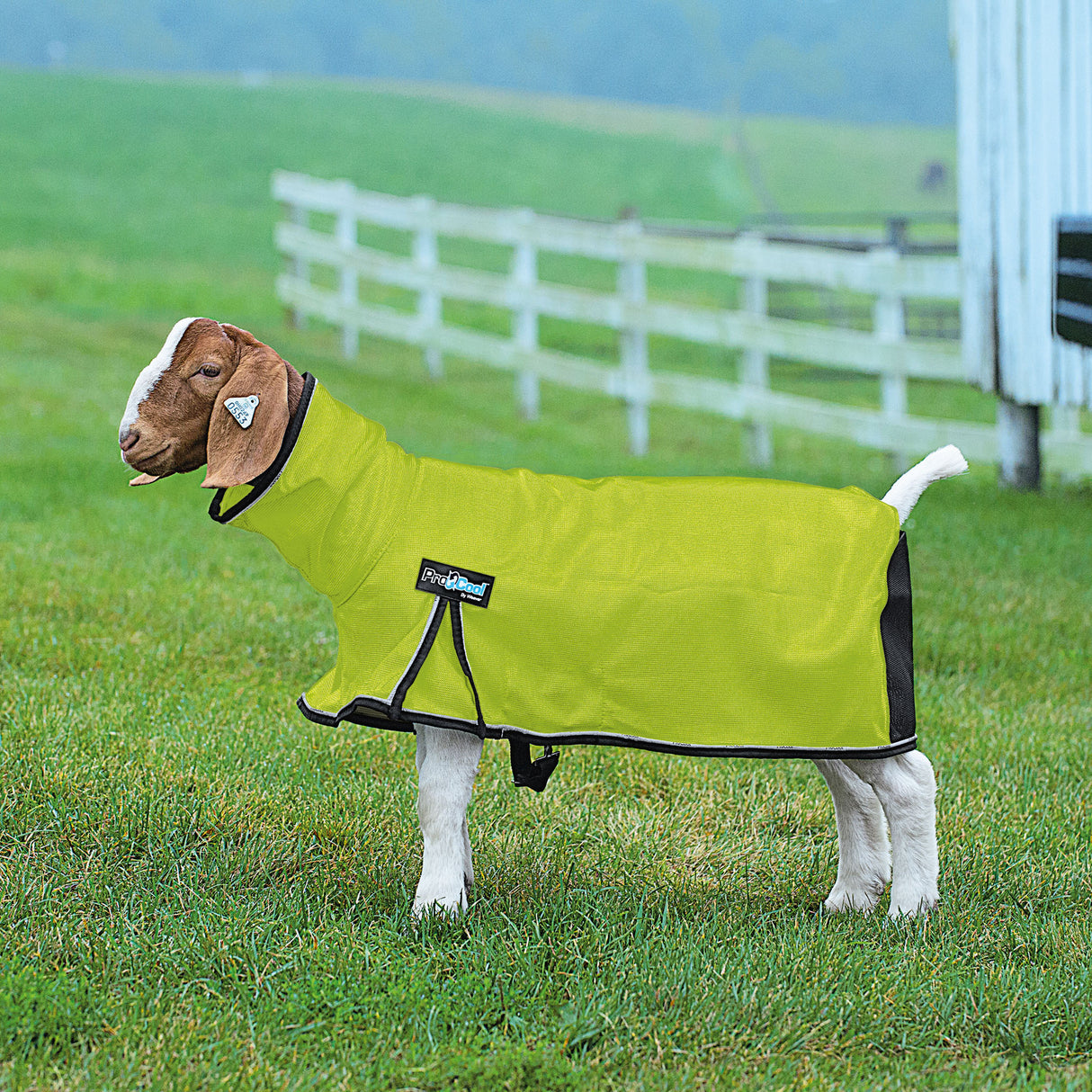 ProCool™ Goat Blanket with Reflective Piping, Mesh Butt