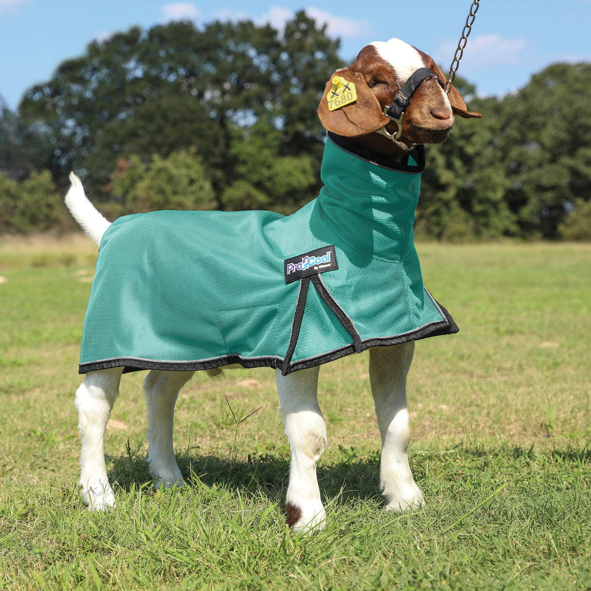 ProCool™ Goat Blanket with Reflective Piping, Mesh Butt