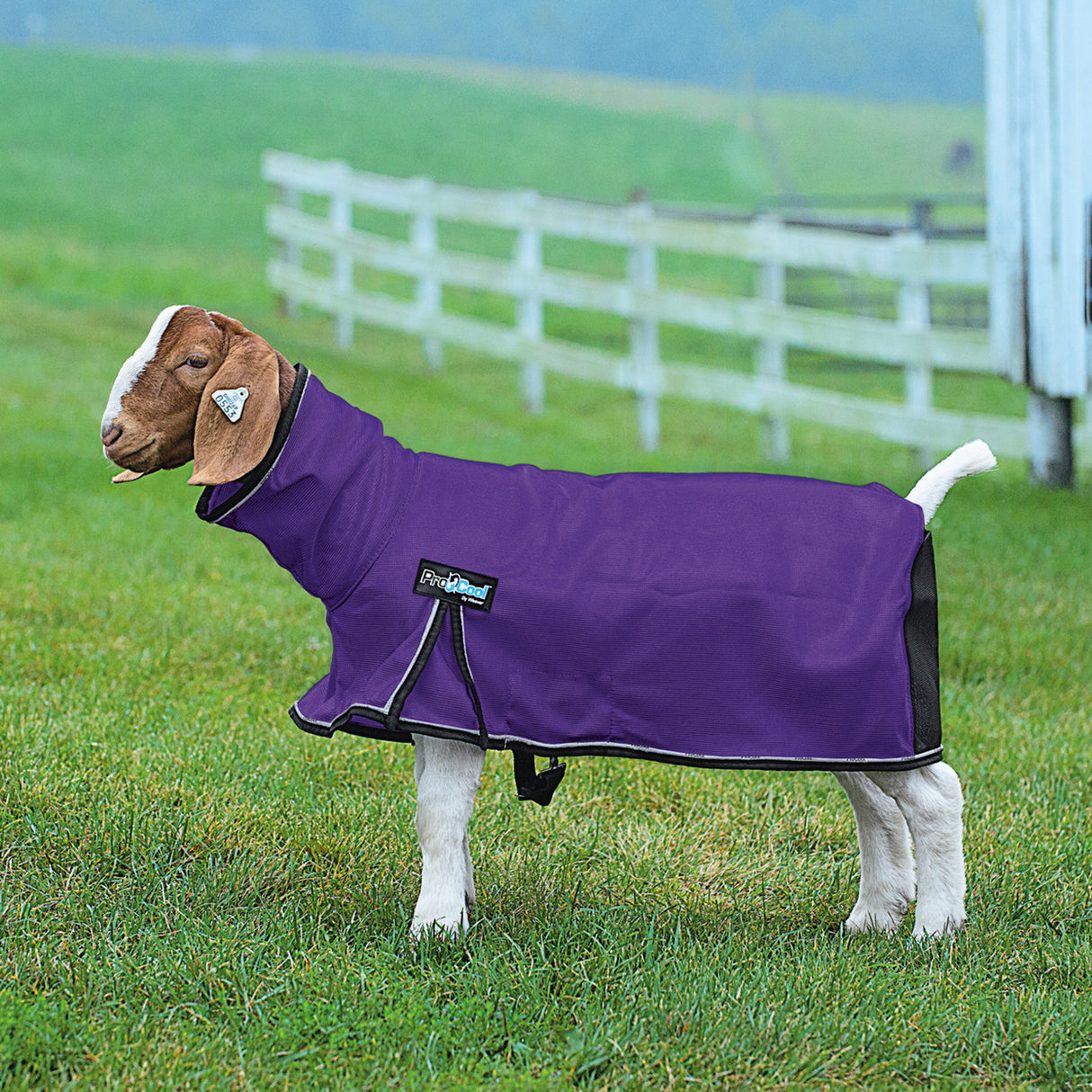 ProCool™ Goat Blanket with Reflective Piping, Mesh Butt