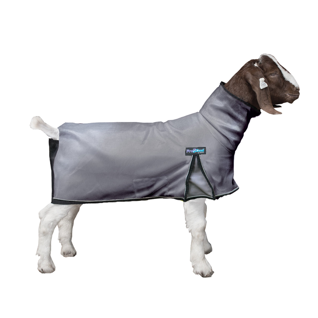 ProCool™ Goat Blanket with Reflective Piping, Mesh Butt