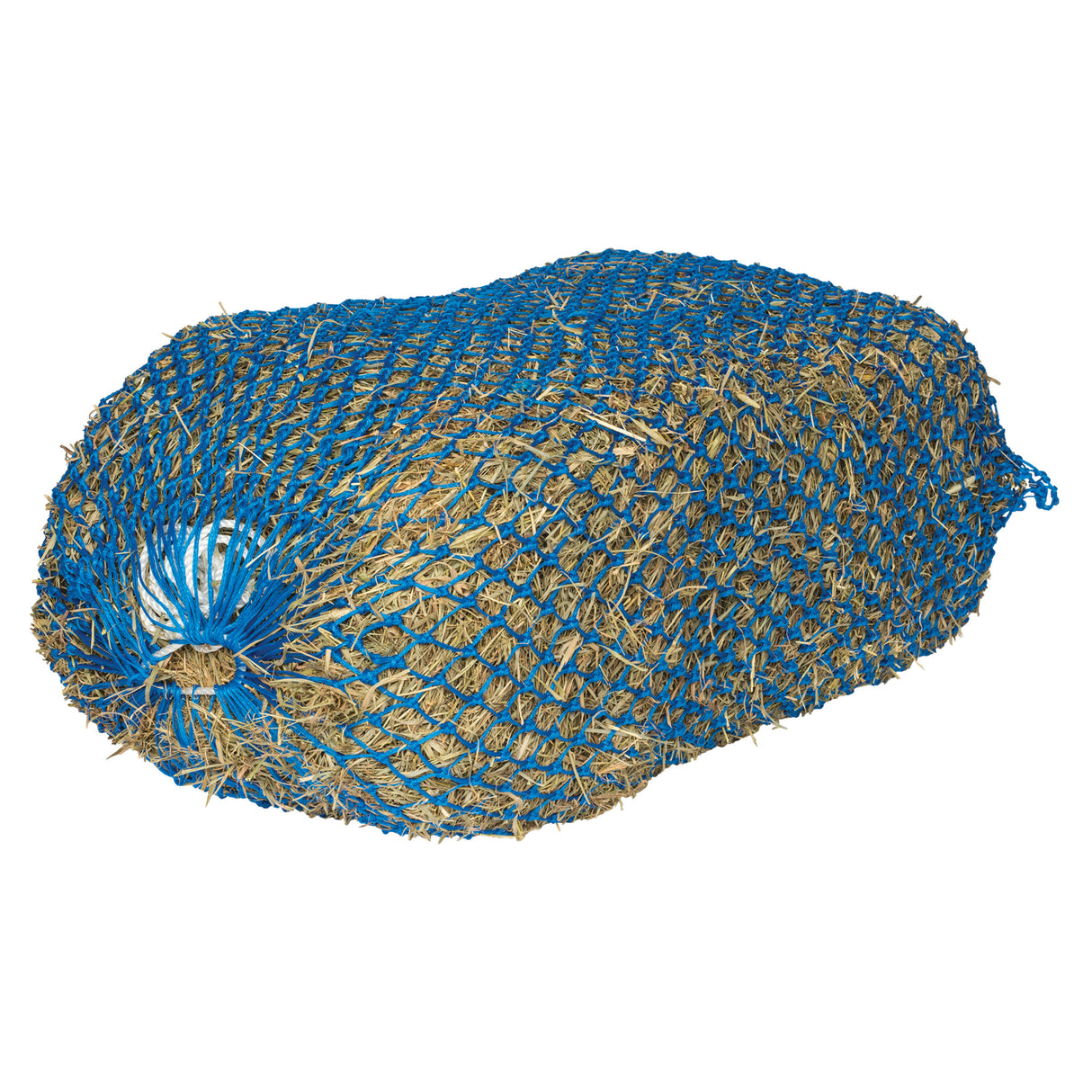 Slow Feed Hay Bale Net, Blue