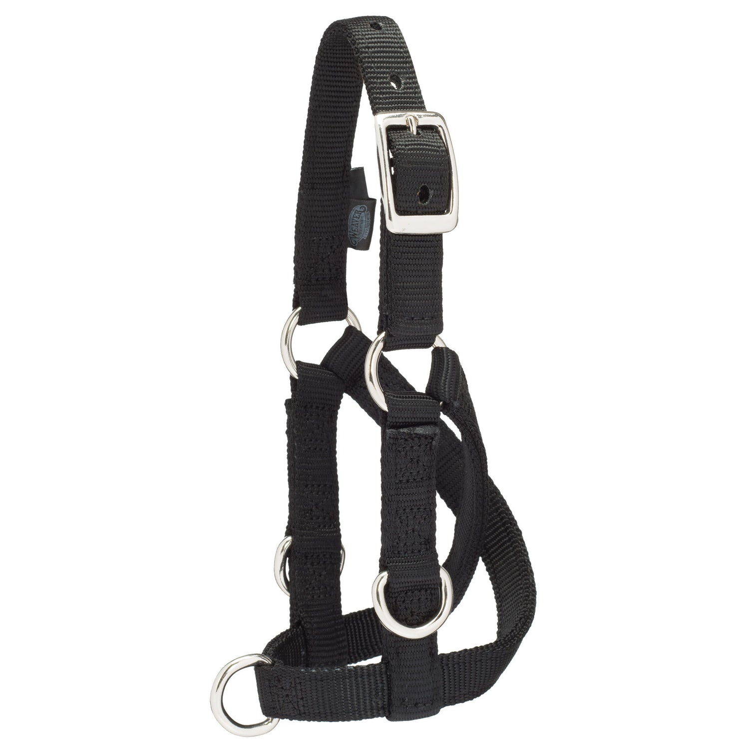 Sheep & Goat Training Halter