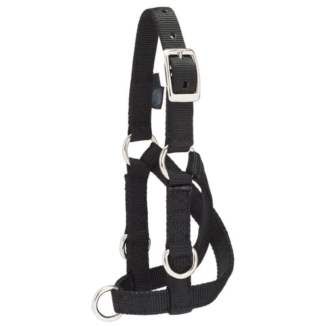 Sheep & Goat Training Halter