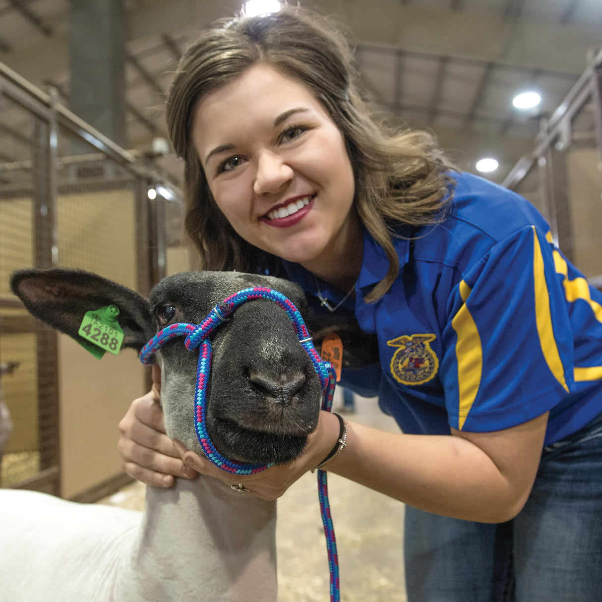 Poly Rope Sheep Halter with Snap