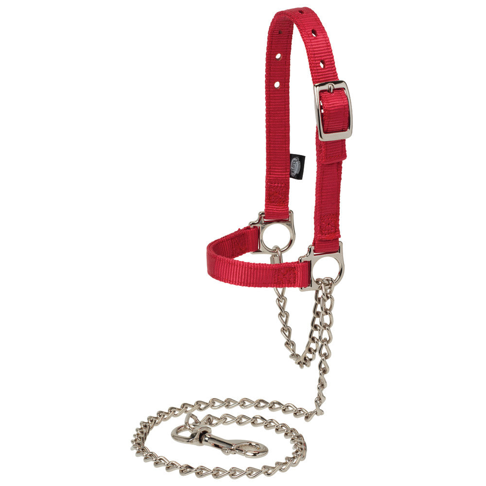 Nylon Adjustable Sheep Halter with Chain Lead, Strawberry