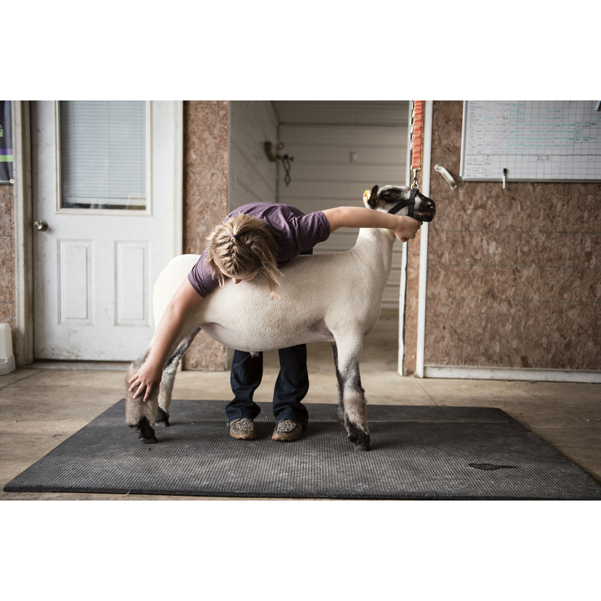 Bungee Nylon Walking Lead