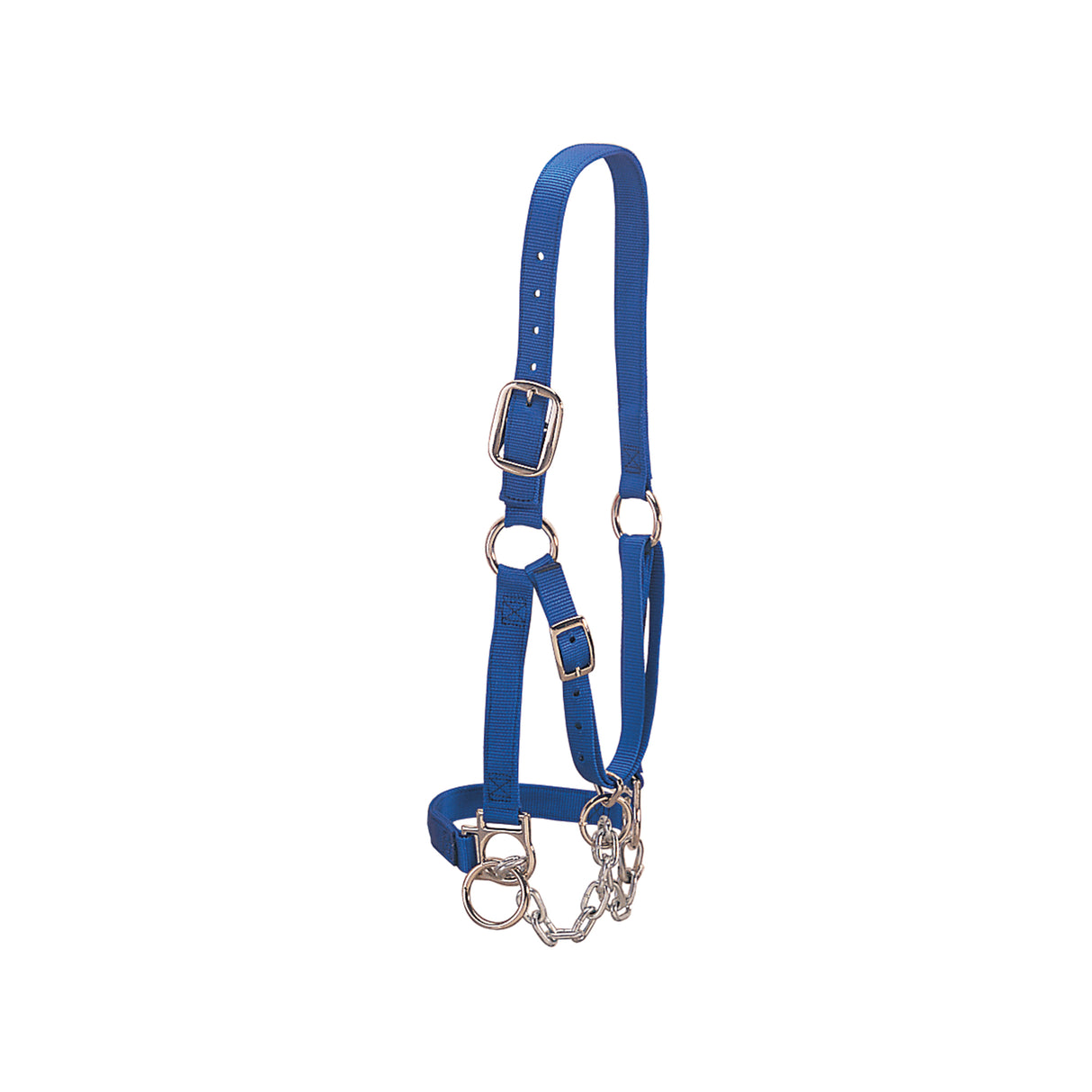 Heavy-Duty Restraint Halter
