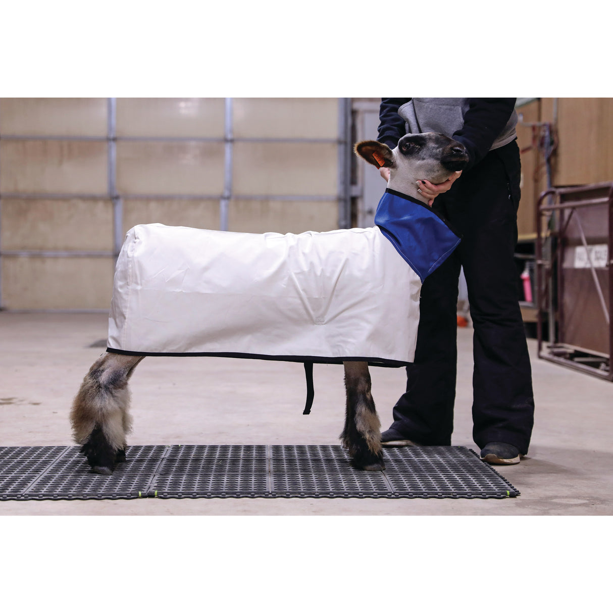 Canvas Sheep Blanket