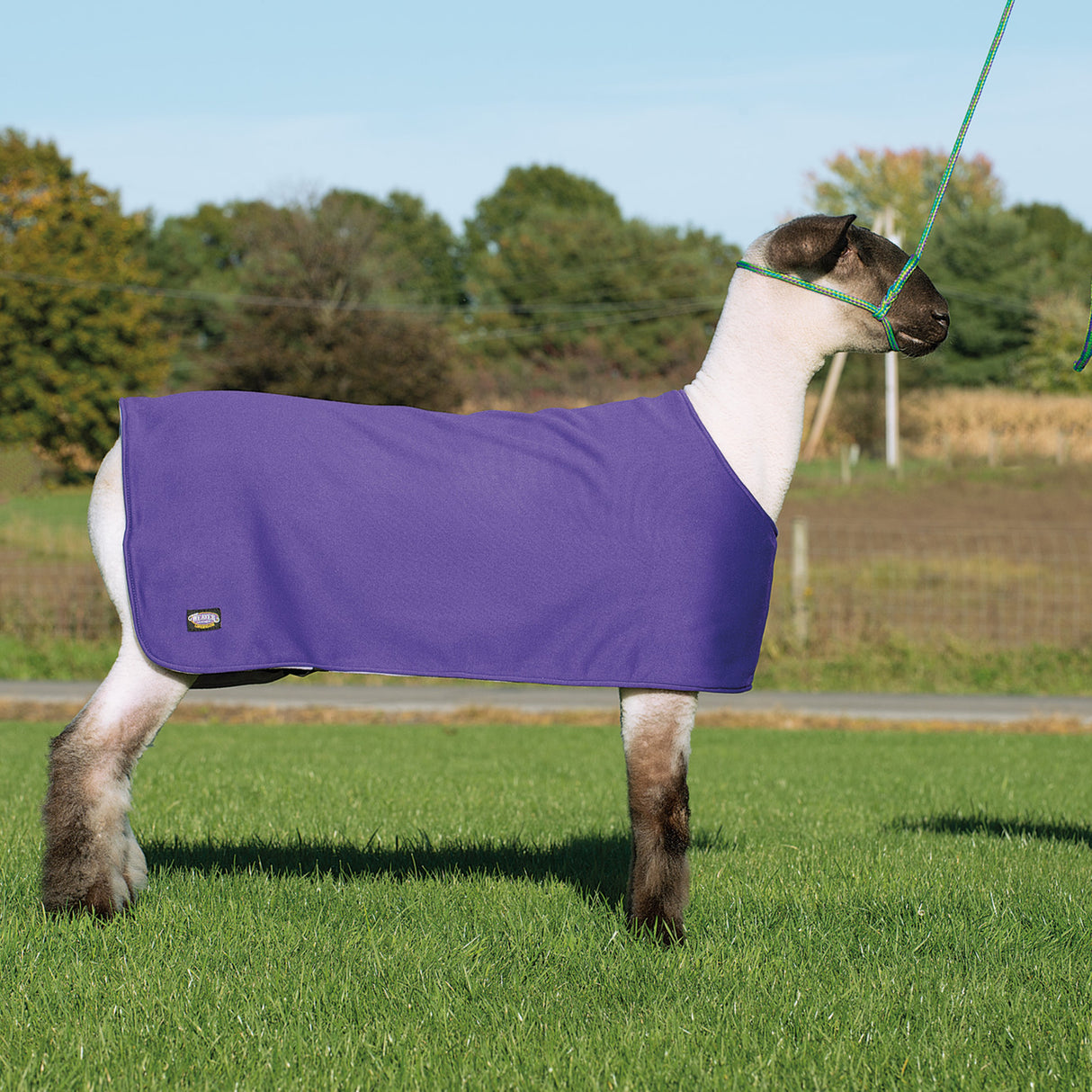 Sheep and Goat Underblanket