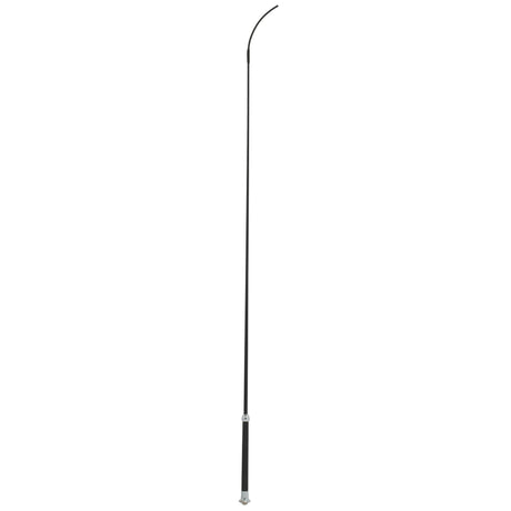 Basic Whip with Chrome Tipped Handle