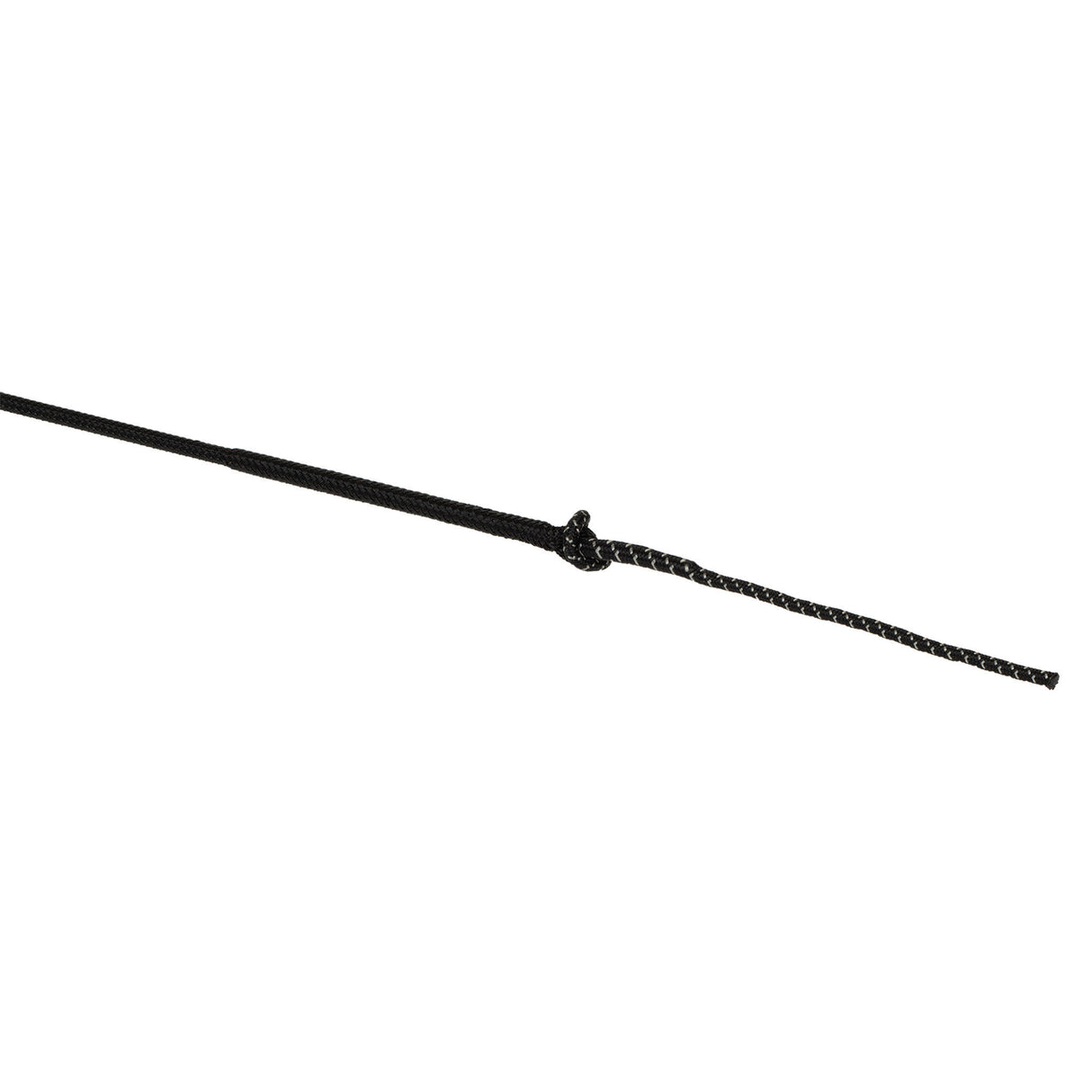 Whip with Replaceable Popper