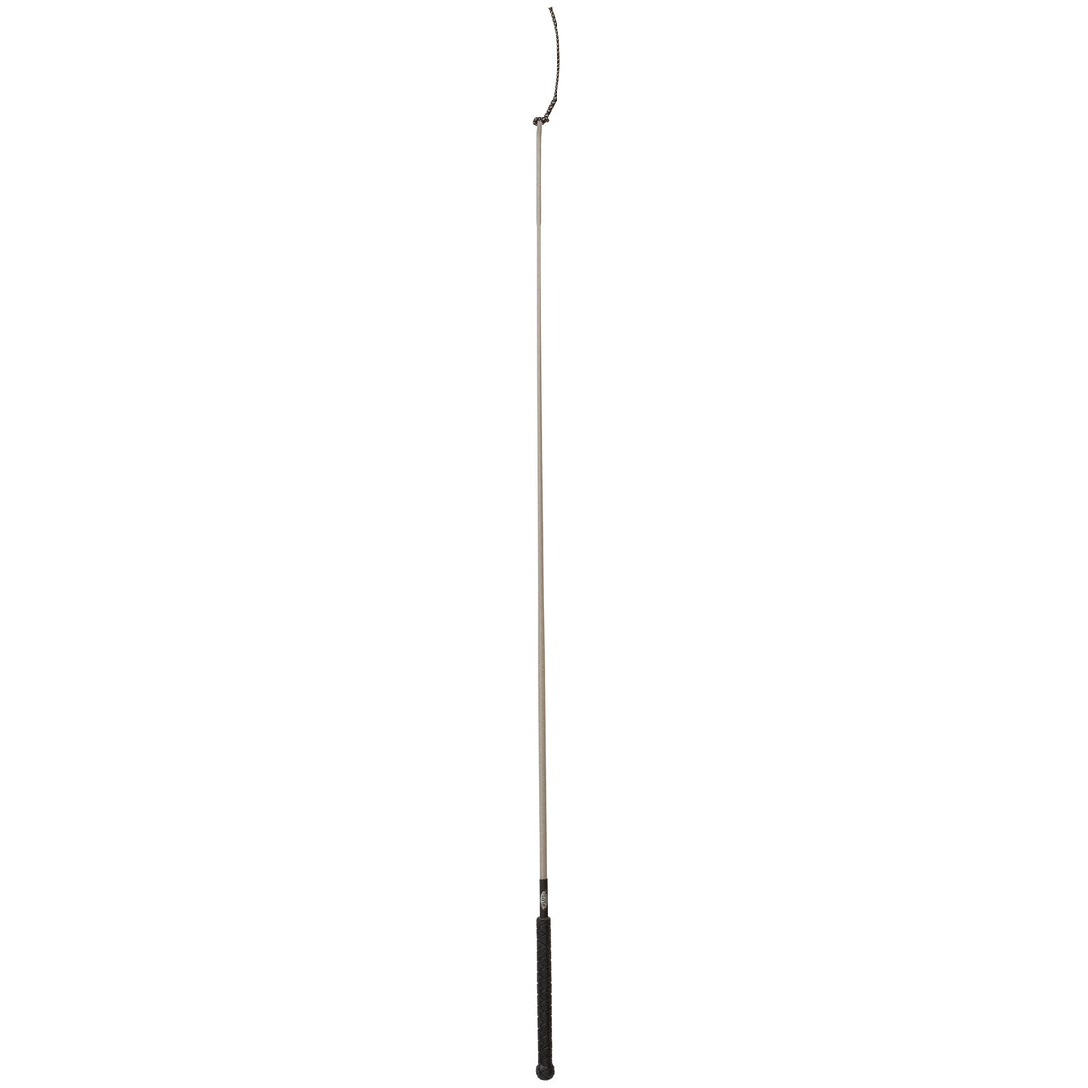 Whip with Replaceable Popper, Gray