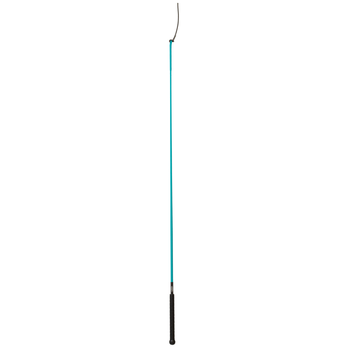 Whip with Replaceable Popper, Teal