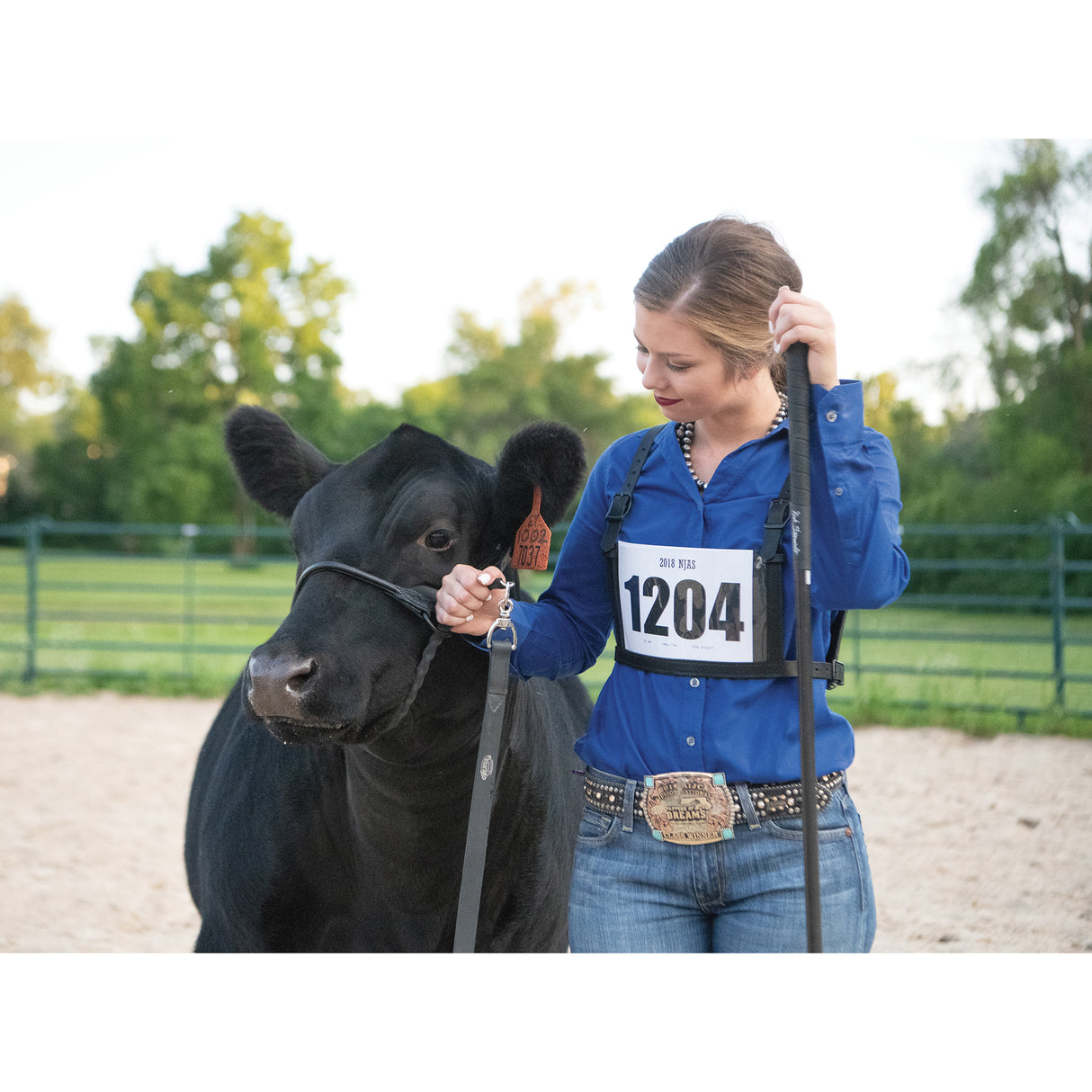 Carbon Fiber Show Stick