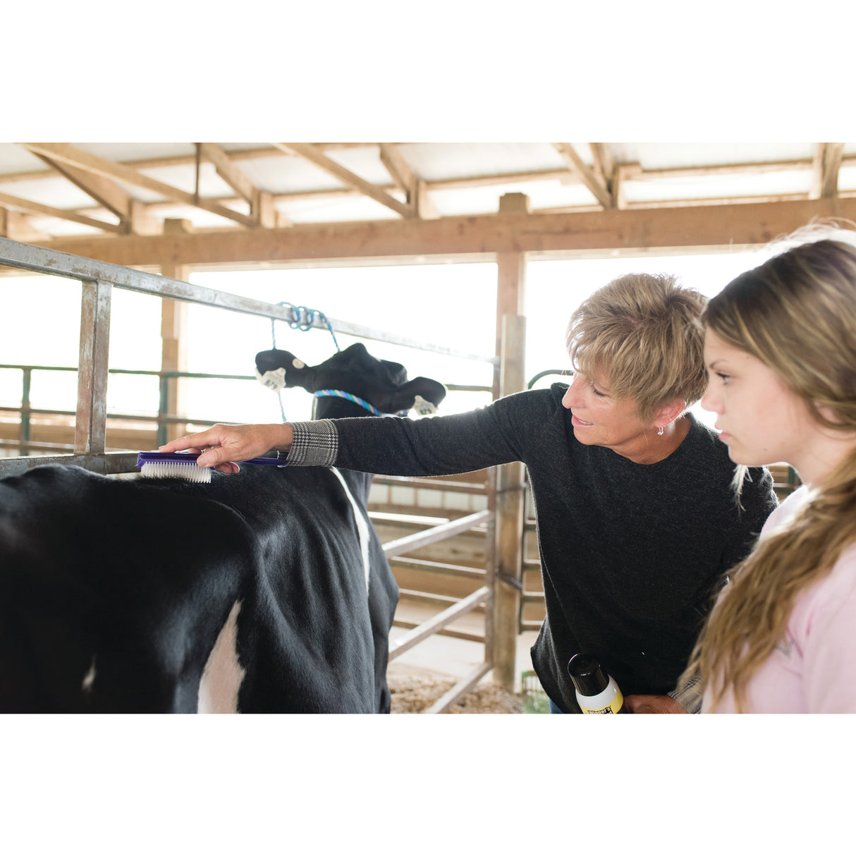 Topline Brush, Purple