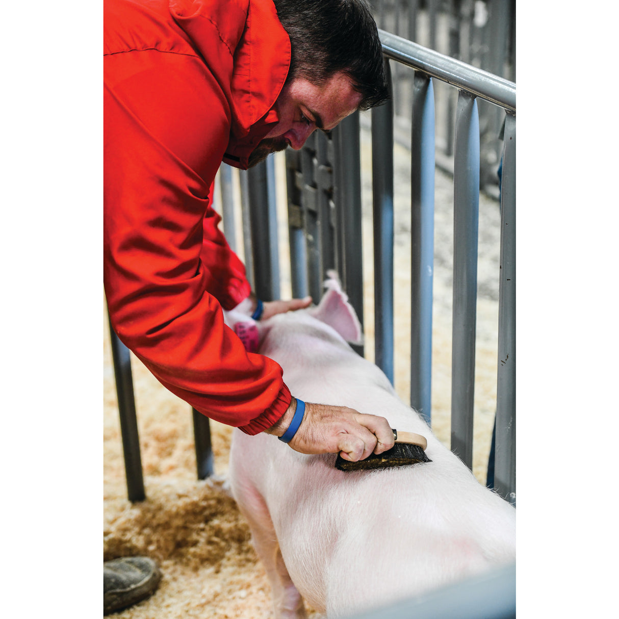 Copper Bristle Brush