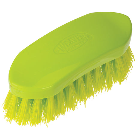 PalmPro Brush