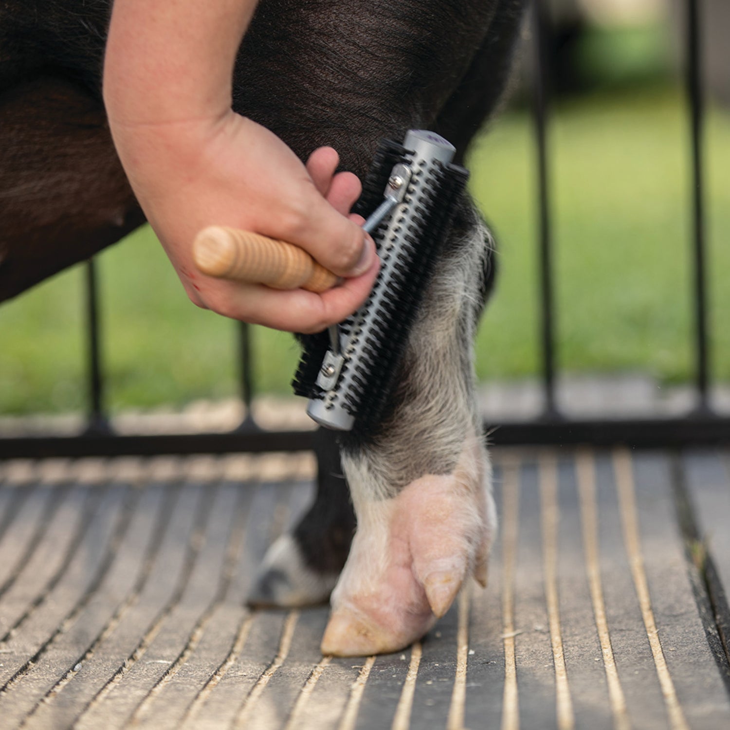 Mini Wide Range Brush