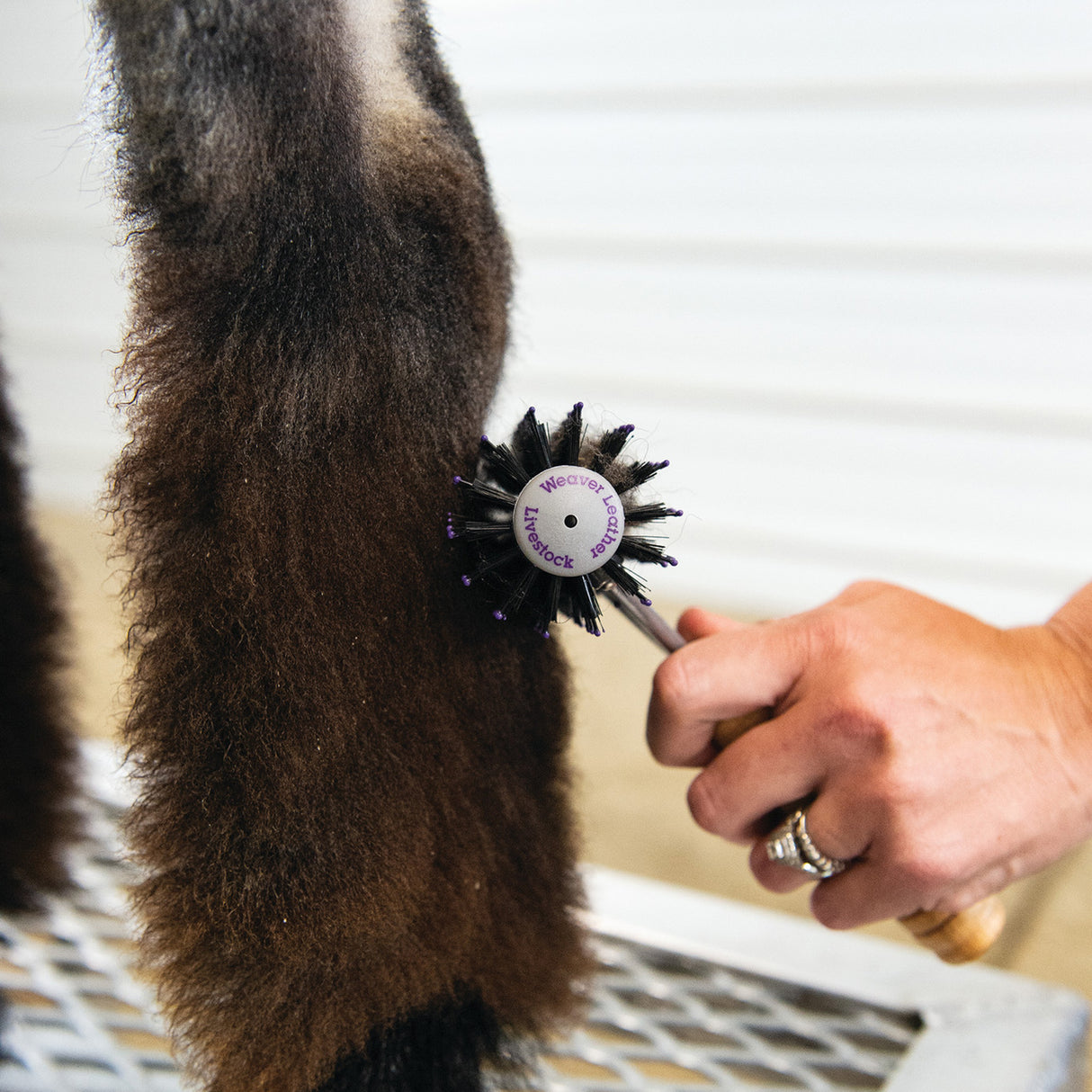 Mini Wide Range Brush