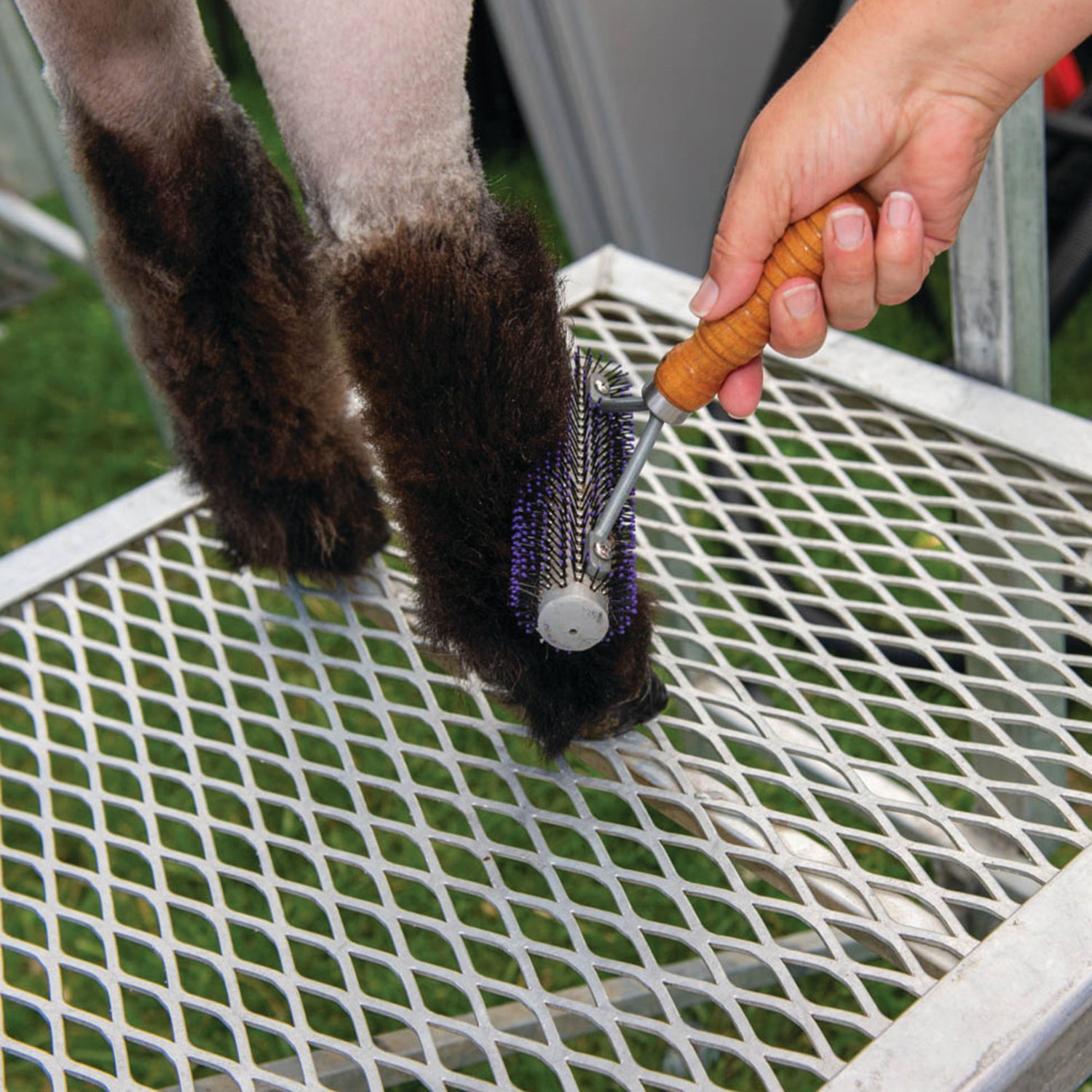 Mini Wide Range Brush