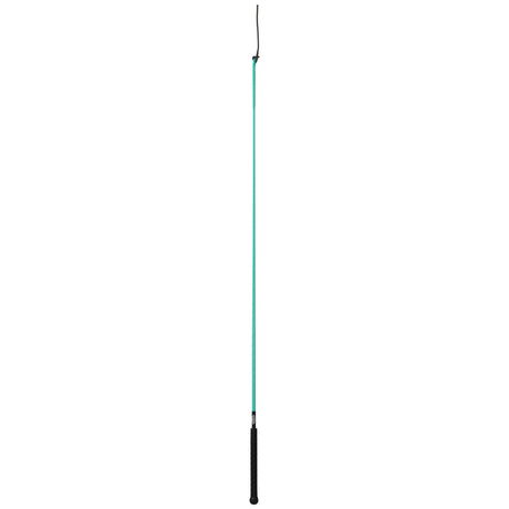 Whip with Replaceable Popper, Aqua