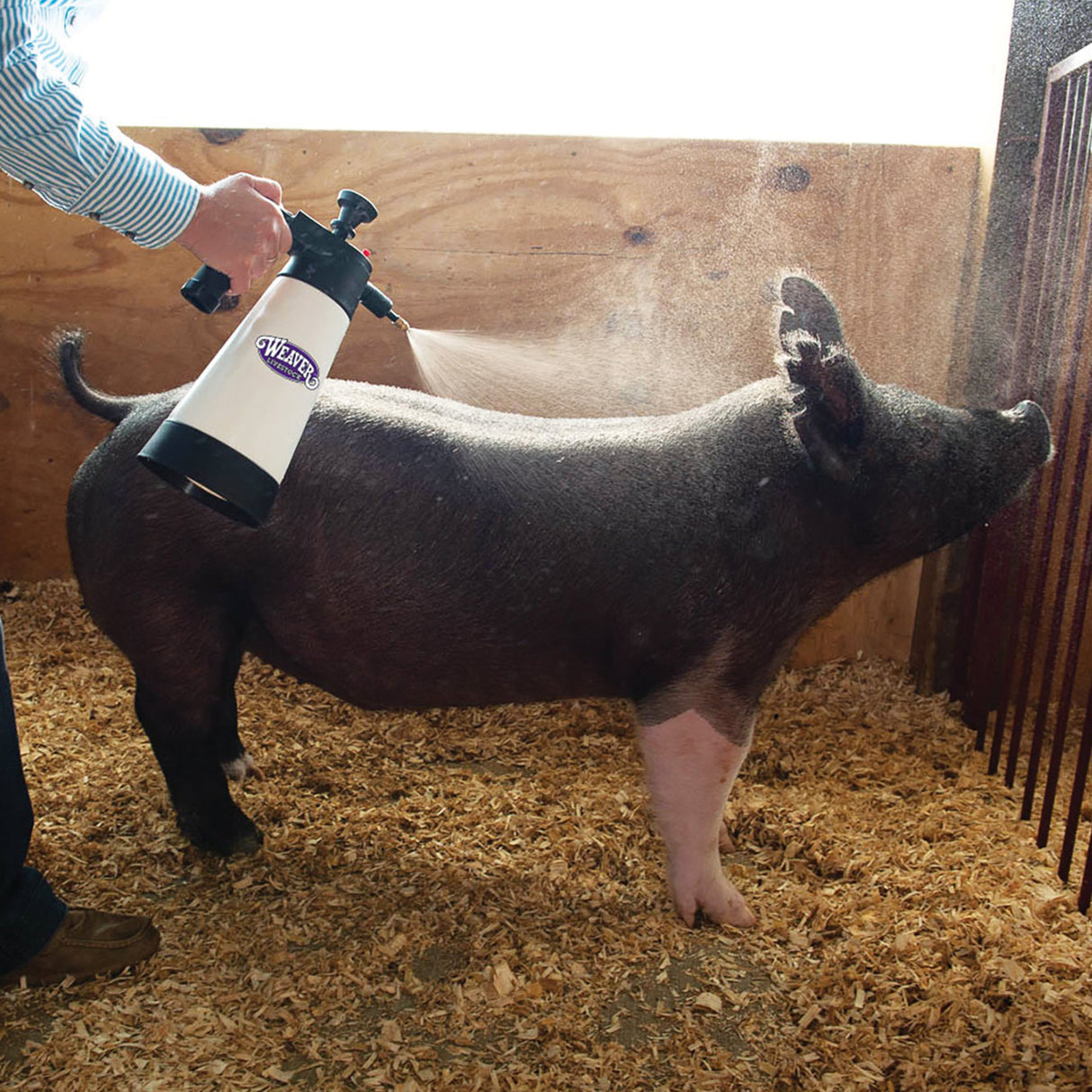 Heavy-Duty Pump Sprayer, In Use