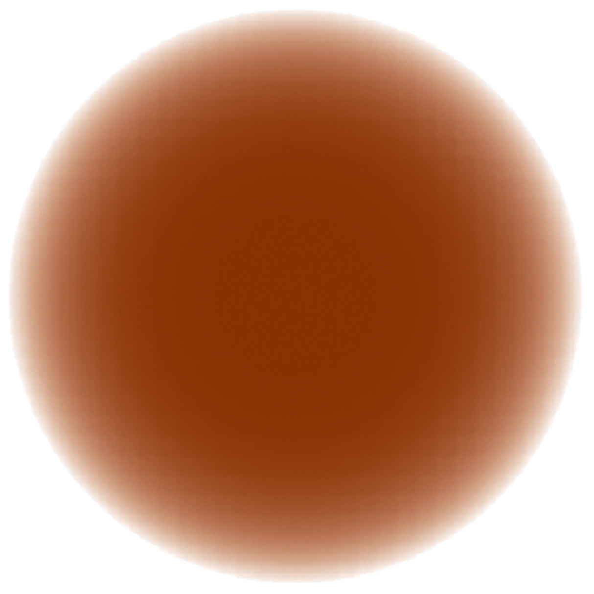 ProPaint Rust, 10 oz. Swatch