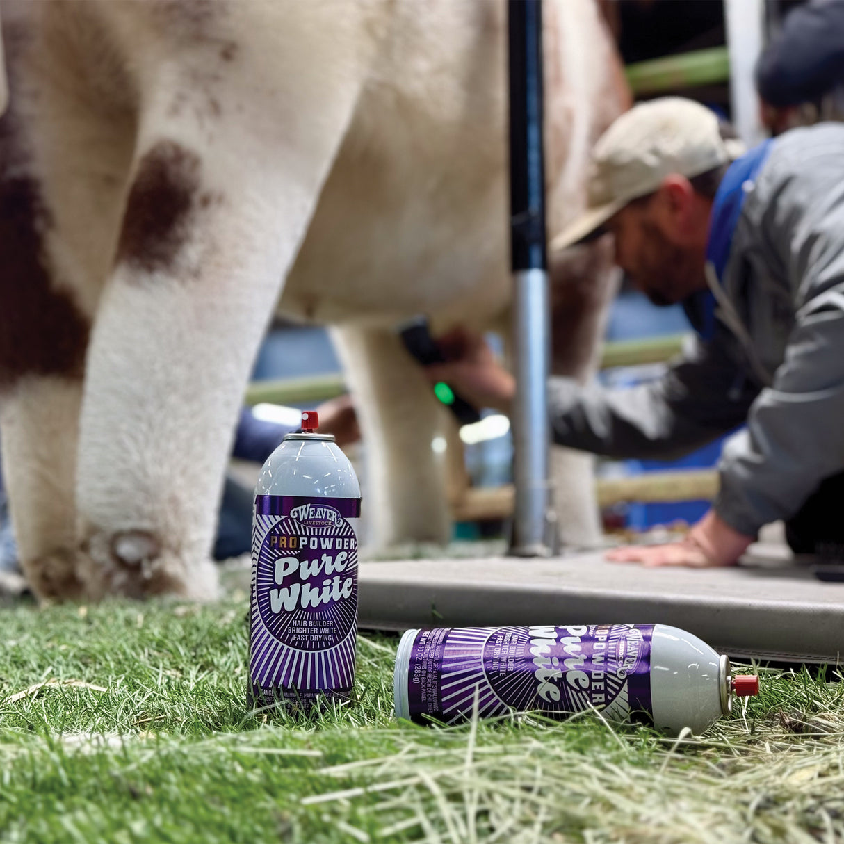 ProPowder Pure White