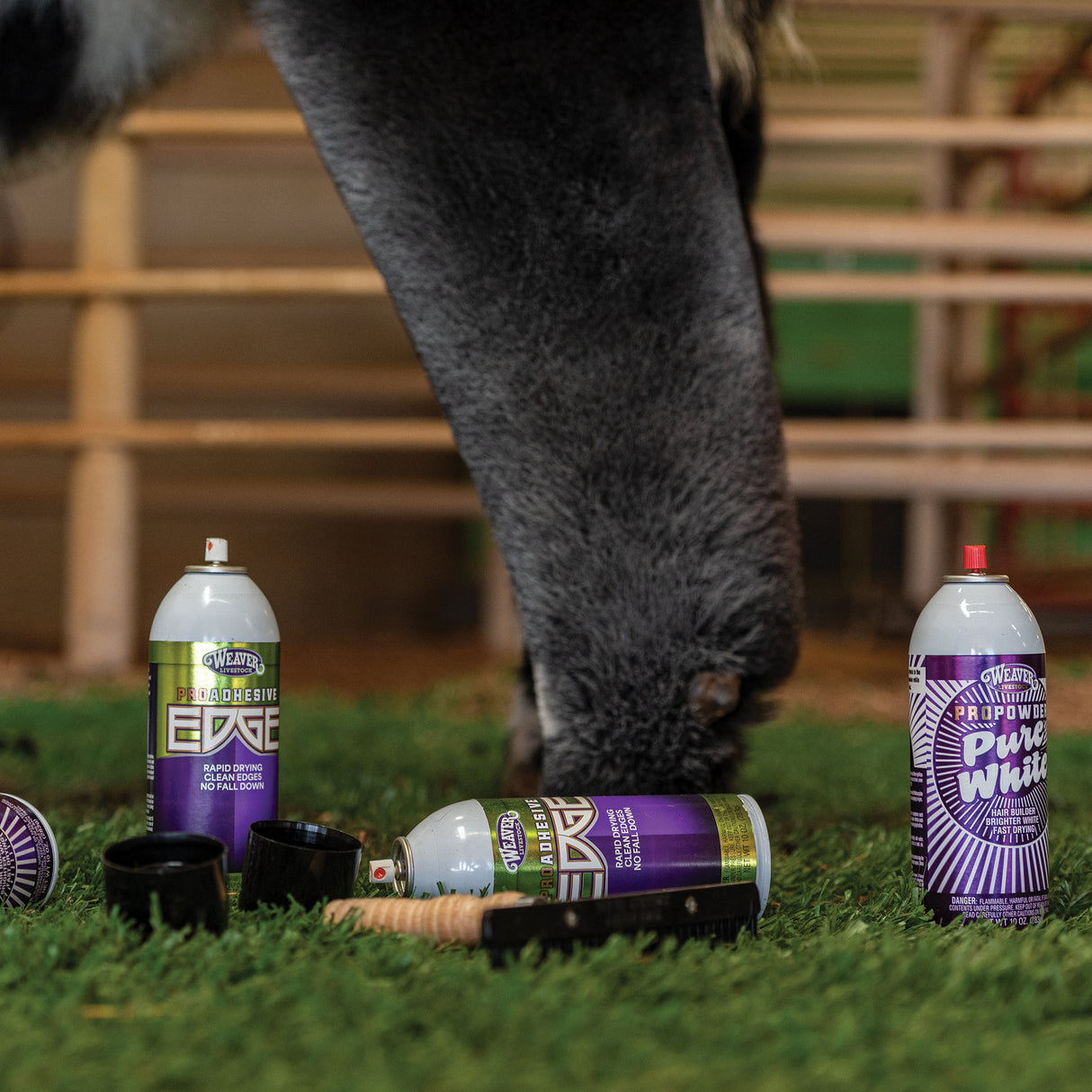 ProPowder Pure White