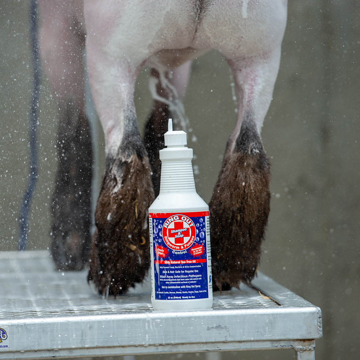 Ring Out Livestock Shampoo & Soap, Quart