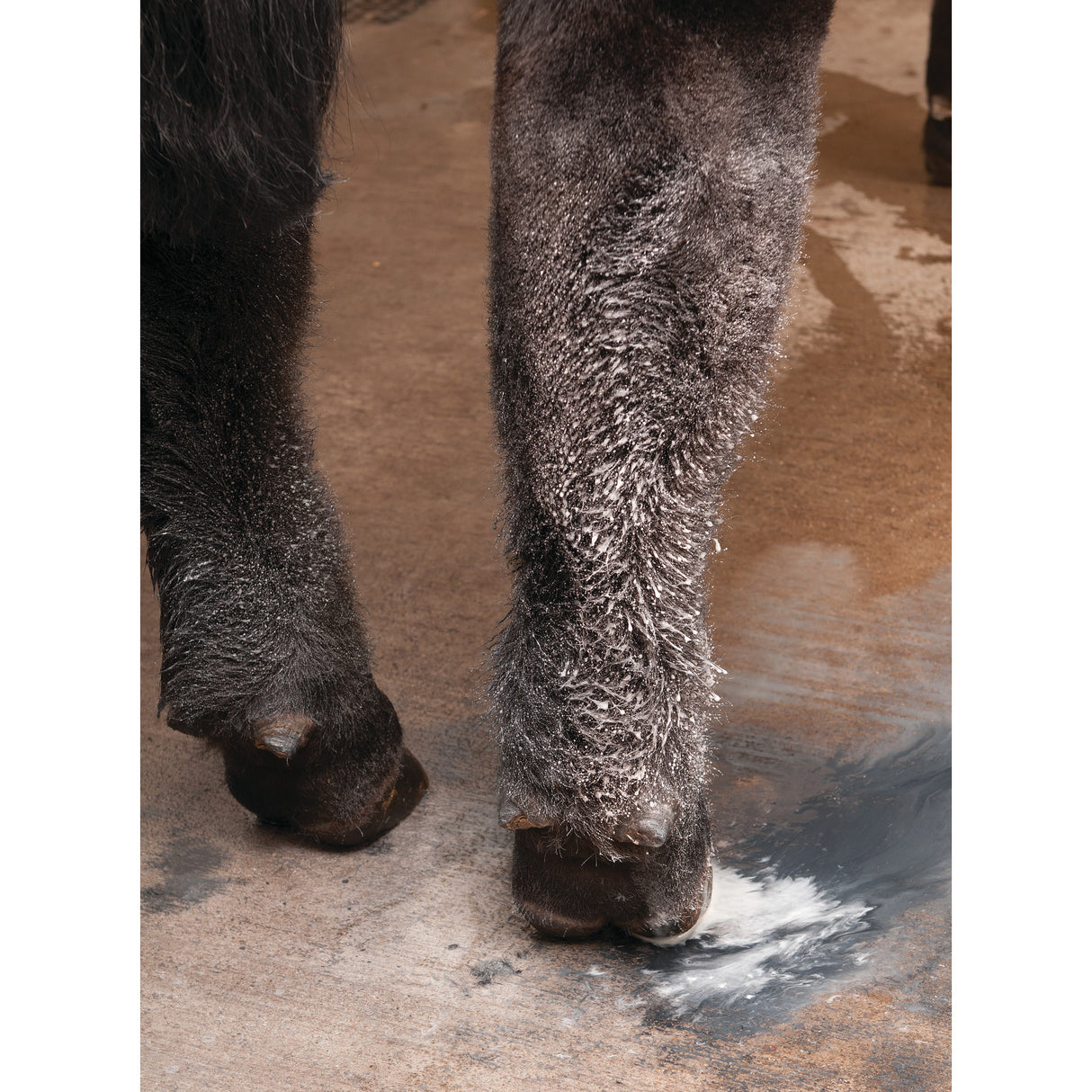 eZall® It's Gone Adhesive Remover