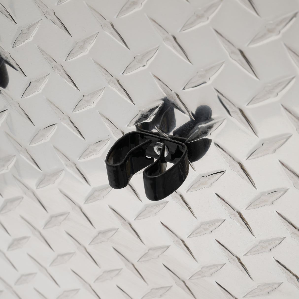 5' Two-Door Dolly Show Box, Aluminum