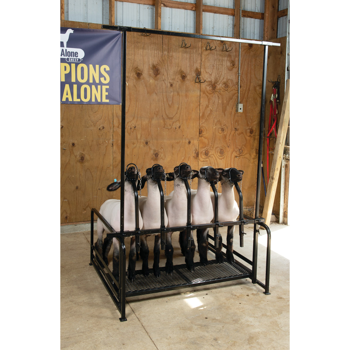 5 Head Sale Rack