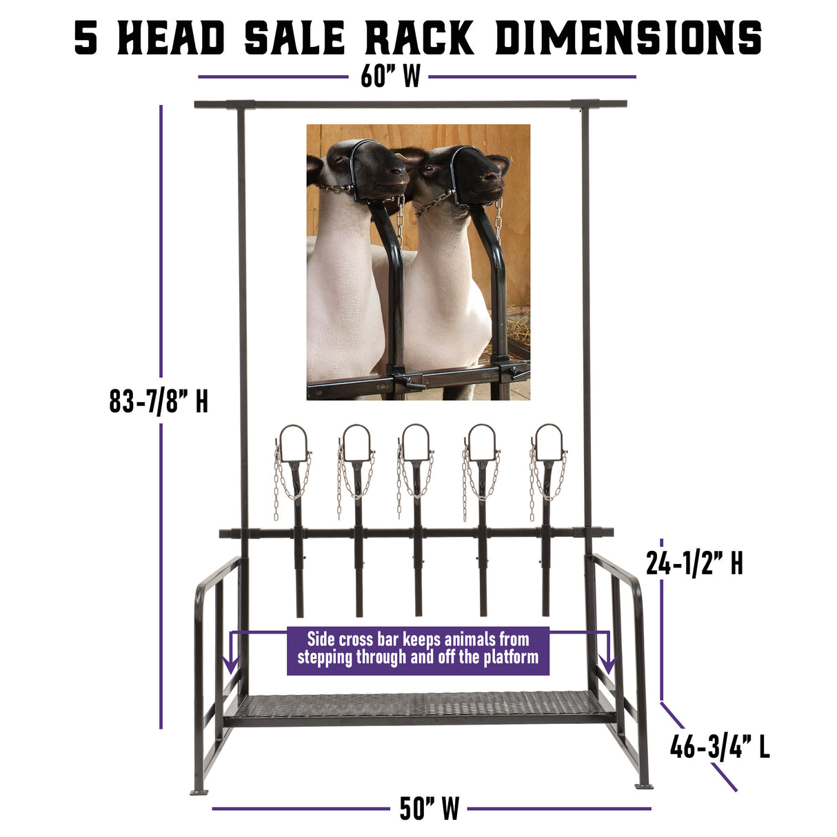 5 Head Sale Rack