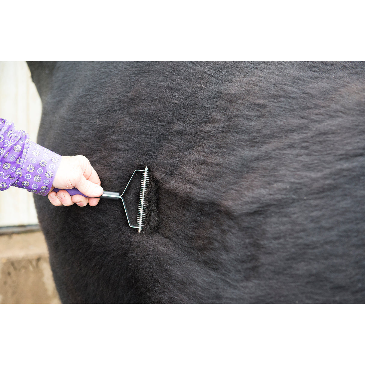 Shedding Comb in use