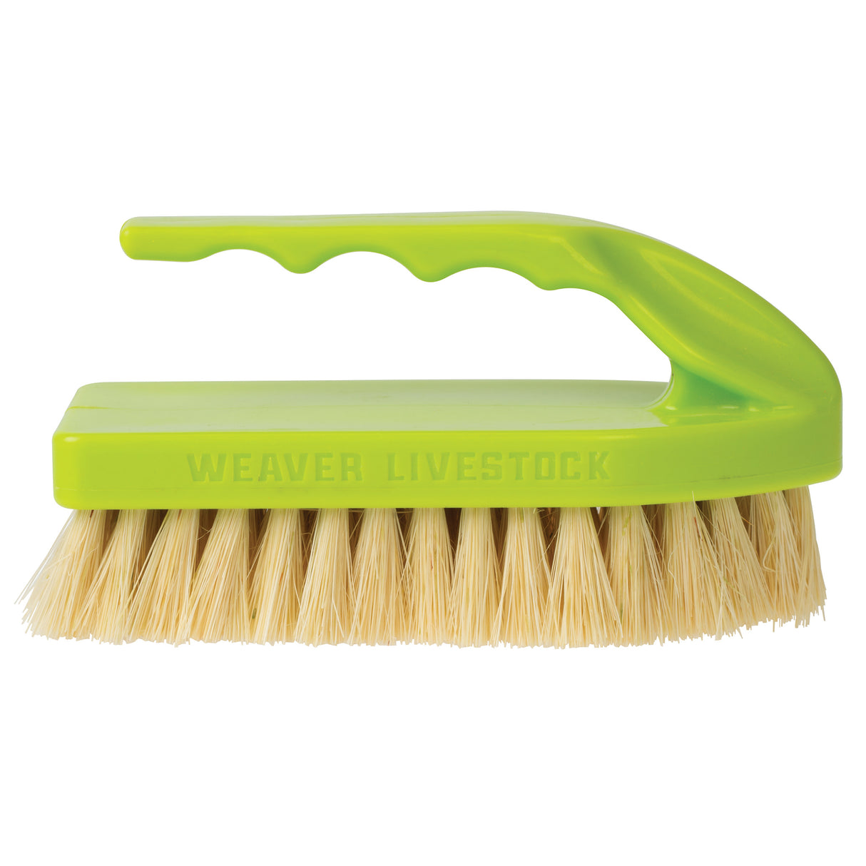 Plastic Tampico Pig Brush with Handle
