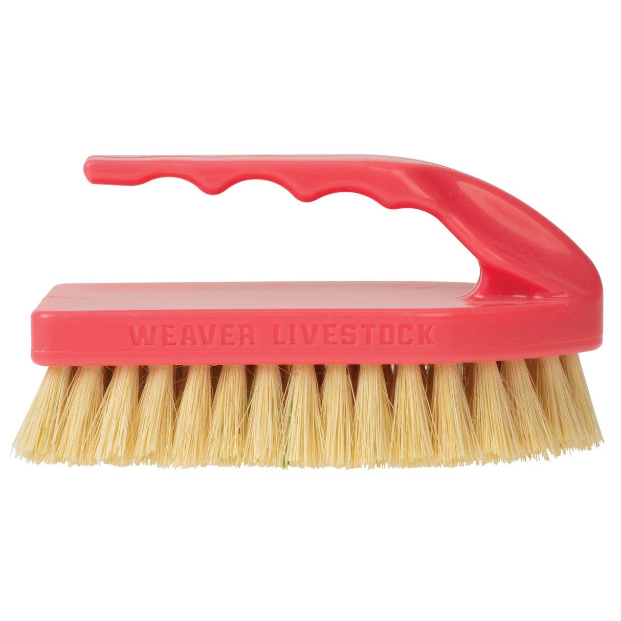 Plastic Tampico Pig Brush with Handle