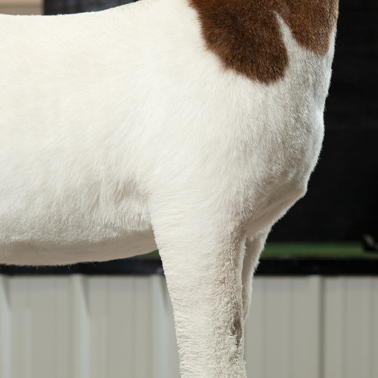 ProPowder Pure White