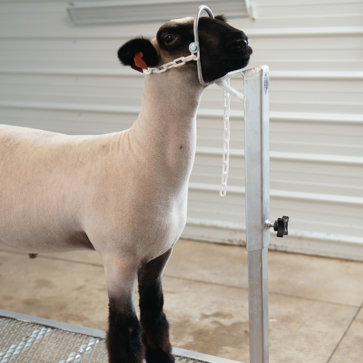 Complete Aluminum Trimming Stand