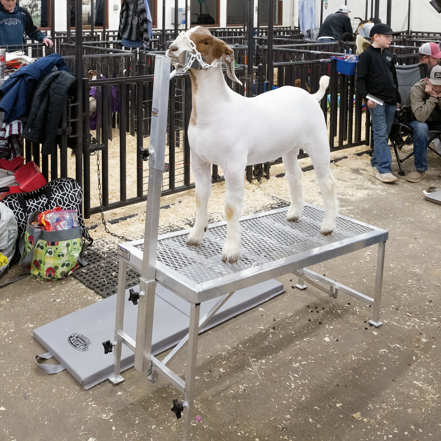 Complete Aluminum Trimming Stand