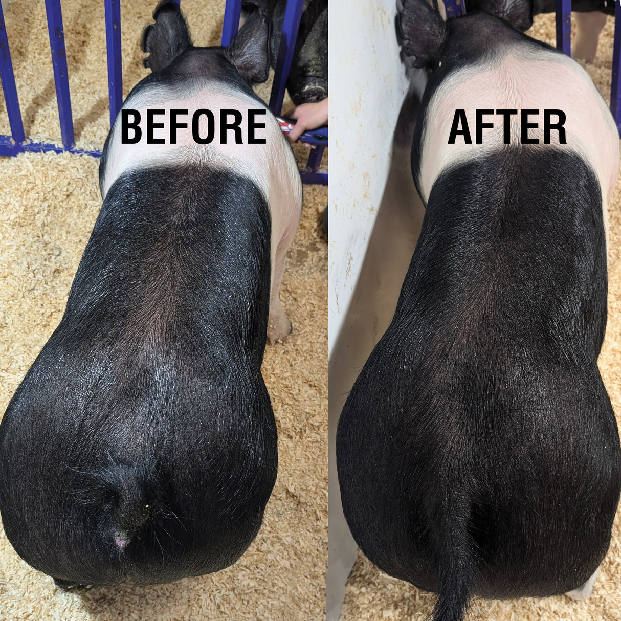 Dark Nite Before and After example