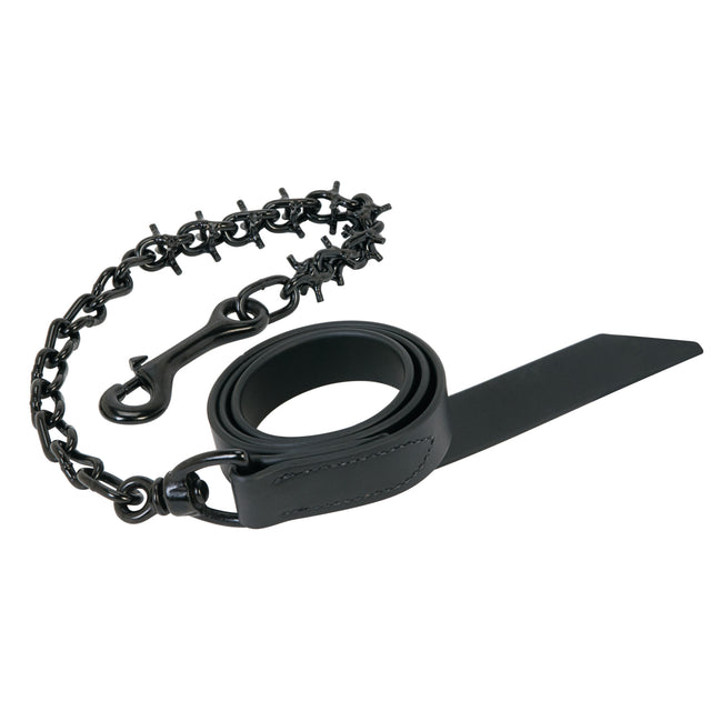 Pronged Lead Chain, Black Lead/Black Chain