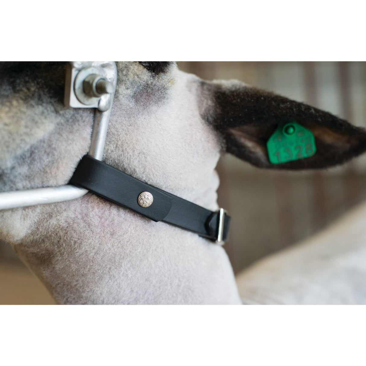 Trimming Stand Headpiece Conversion Kit