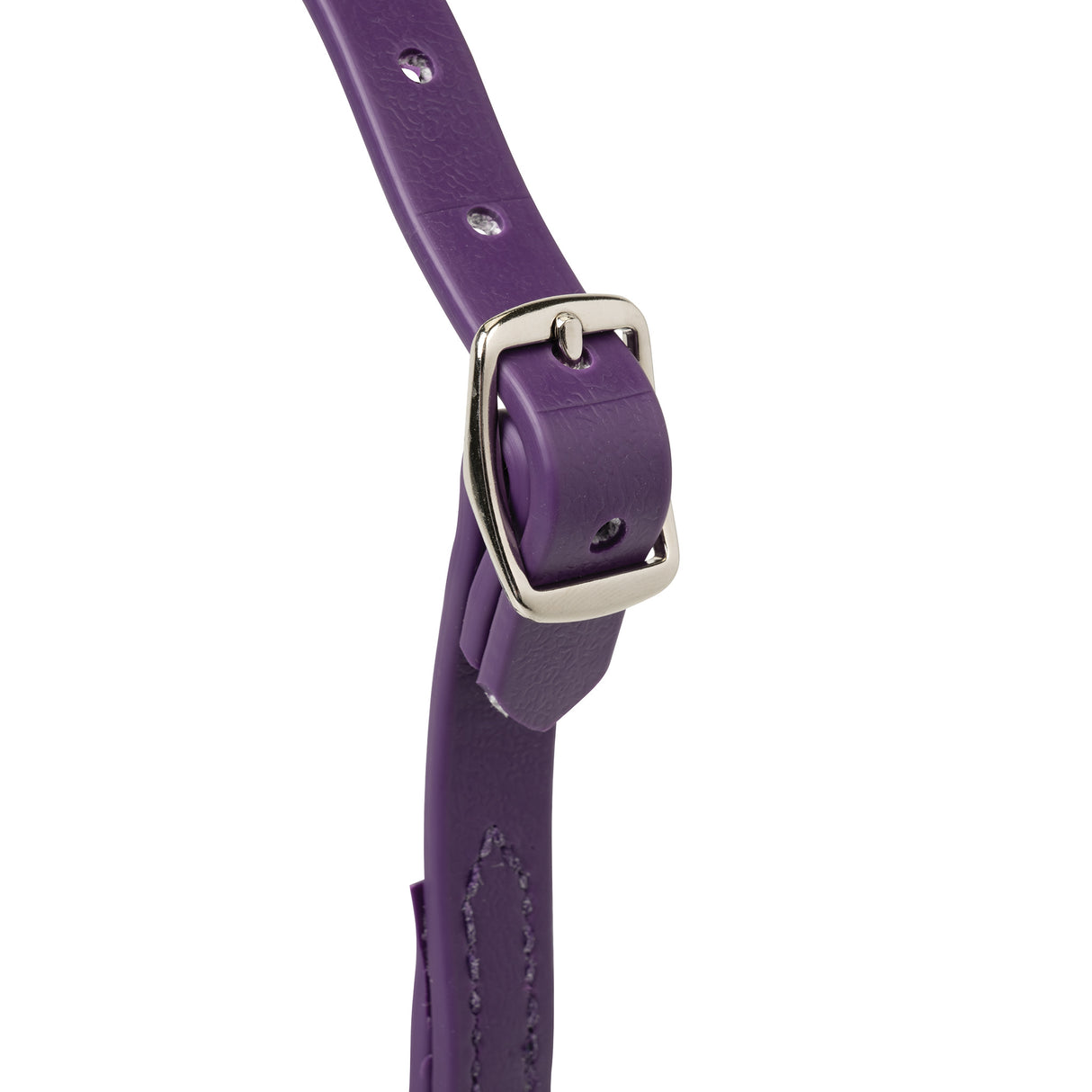 Sheep and Goat Brahma Webb® Halters