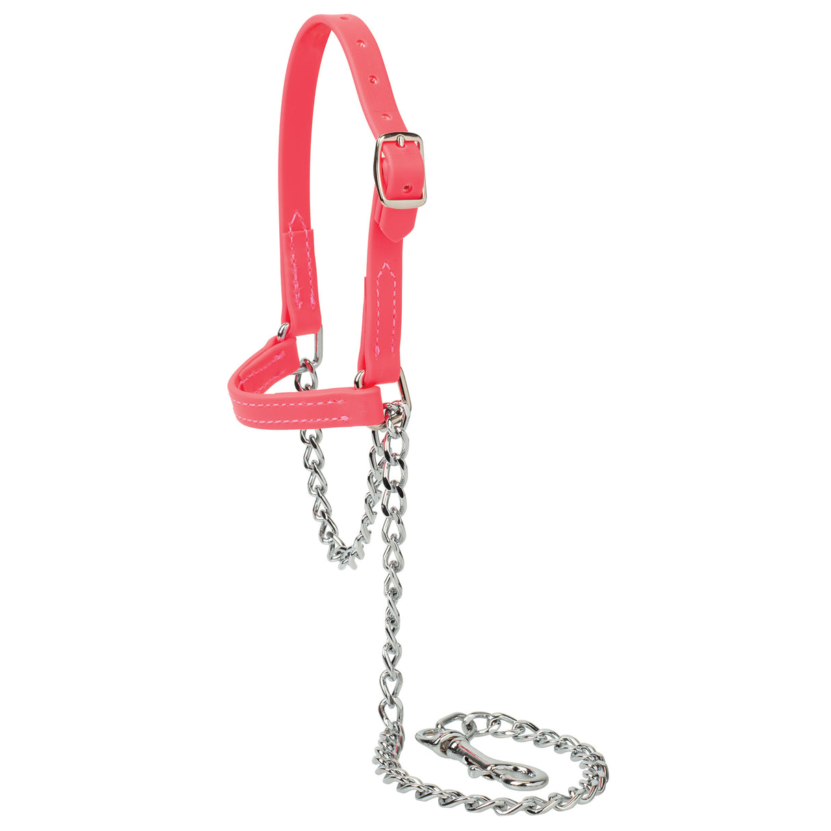 Sheep and Goat Brahma Webb® Halters