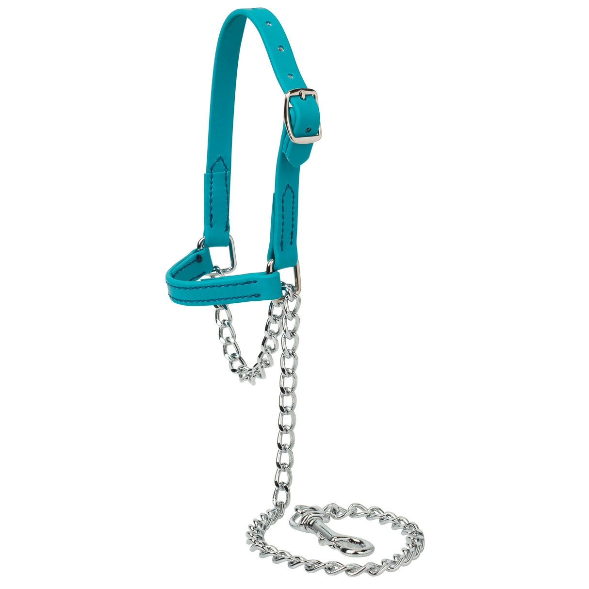 Sheep and Goat Brahma Webb® Halters