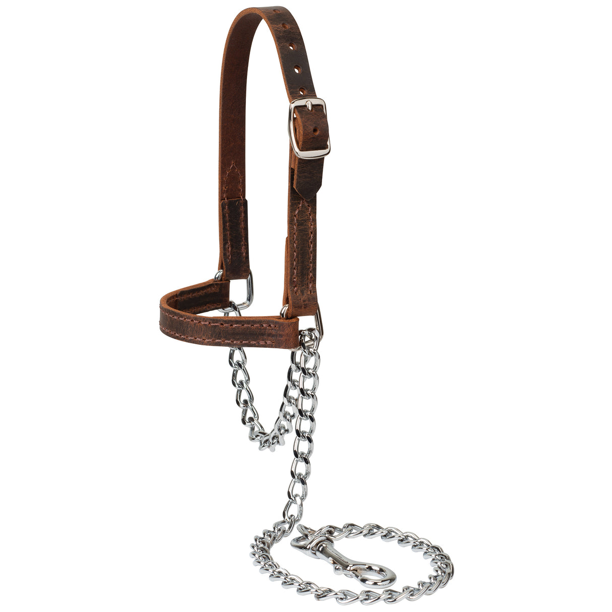 Water Buffalo Leather Goat Halter, Large, Assorted Colors